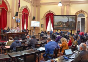 Cámara de Diputados: peticionaron más policías y 911 para San Martín