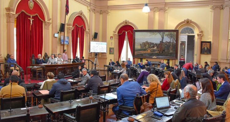 Cámara de Diputados: peticionaron más policías y 911 para San Martín