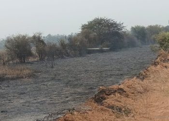 Servicio eléctrico afectado por vientos, fuego y tormenta