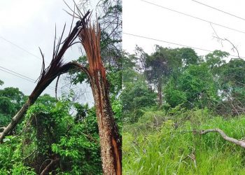 Tartagal: tormenta en madrugada afectó varios distribuidores y transformadores
