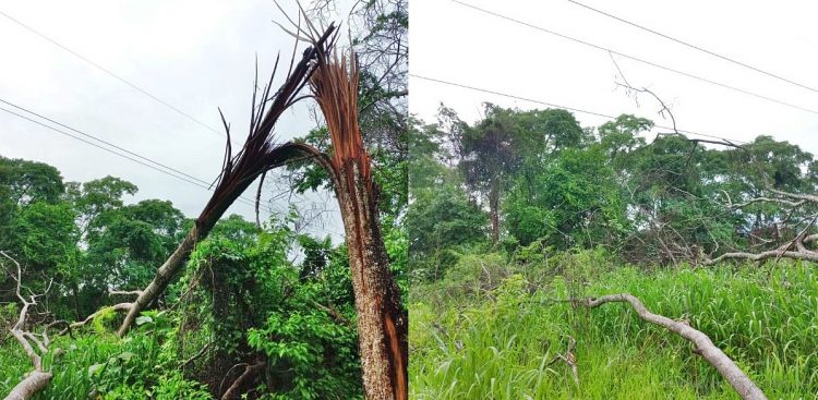 Tartagal: tormenta en madrugada afectó varios distribuidores y transformadores