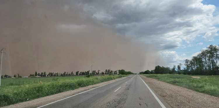 Viento y tormenta provocaron cortes de energía en varias localidades