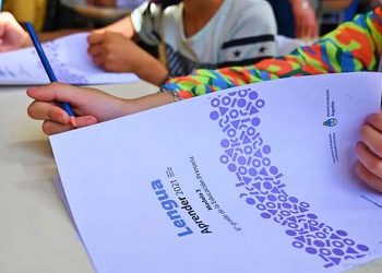Educación: 23 de noviembre, prueba Aprender para alumnos de nivel primario
