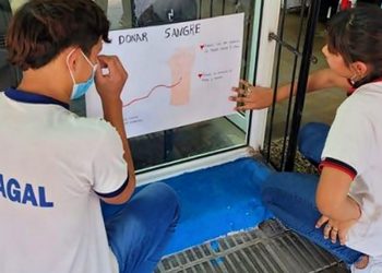 Día Nacional del Donante Voluntario de Sangre: hoy campaña de colecta en Plaza San Martín