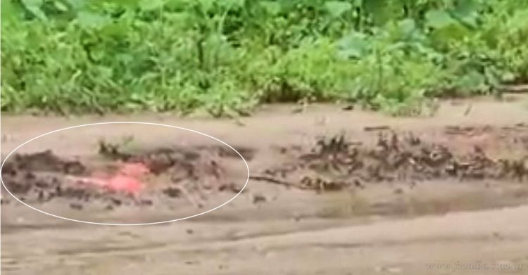 La docencia rural exige atención y prevención ante aparición de boosters sísmicos