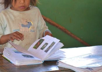 Salta: establecen el 8 de noviembre como Día del Docente Indígena