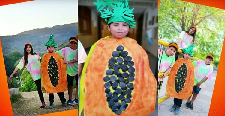 Educación: proyecto de Escuela Cornelio Saavedra gana frutas para todo el establecimiento