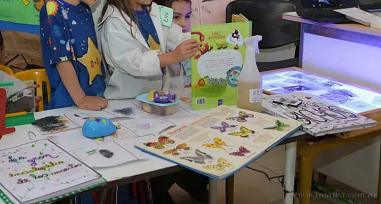 Feria Provincial de Ciencias 2025: ocho proyectos seleccionados por Tartagal