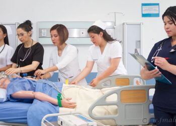 Nación habilita, hasta el 11 de septiembre, la inscripción a Becas Progresar Superior