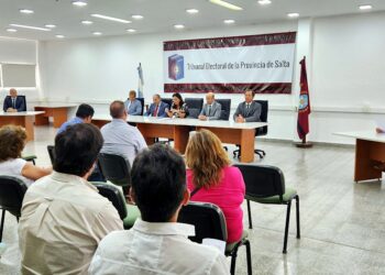 Elecciones Provinciales 2025: el Tribunal Electoral realizó audiencia para el reconocimiento de agrupaciones municipales