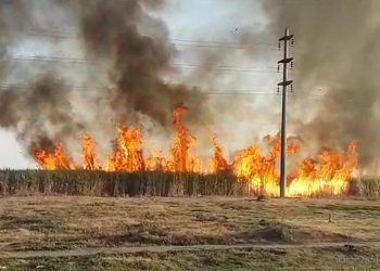 Quema de cañaverales afectaron el servicio de energía