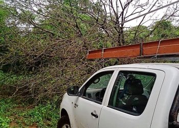 Servicios de agua y luz, afectados por el temporal en gran parte de San Martin