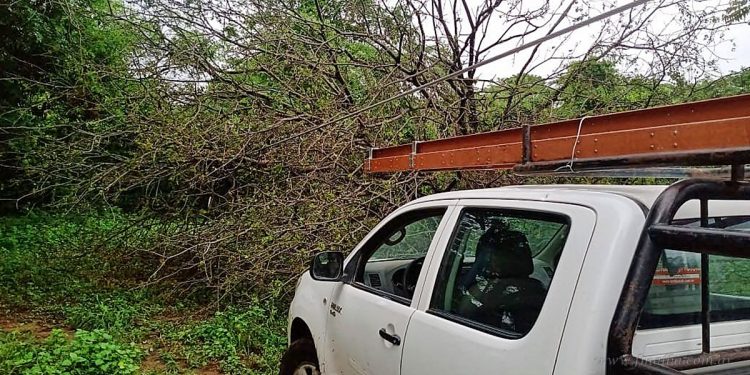 Servicios de agua y luz, afectados por el temporal en gran parte de San Martin