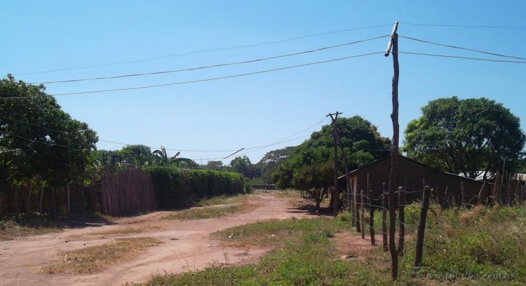 Línea Tartagal-Tonono: audiencia pública por impacto ambiental, este 15 de julio