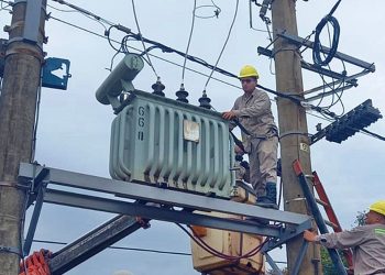 Temporal en la región: se registraron varios cortes de energía a causa del viento