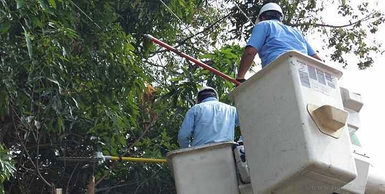 Tartagal: corte programado de energía para el miércoles