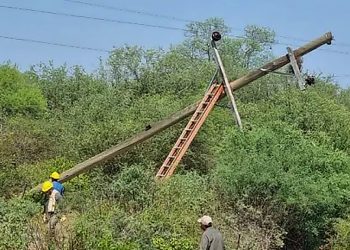 Servicios: por caída de un poste, se registraron parajes sin energía