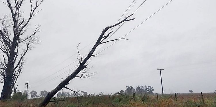 Fuertes lluvias y viento provocan cortes de energía en parajes y comunidades