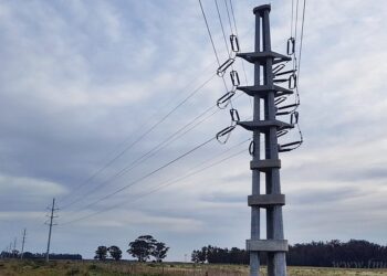 Martes de Carnaval: golpes de tensión se debieron a inconvenientes en el SADI