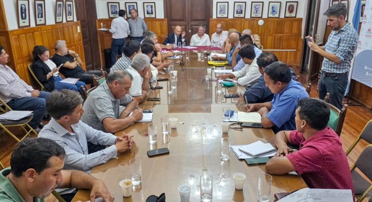 Enresp: se presentó ante Diputados propuesta para ordenar los cargos incluídos en la factura de energía