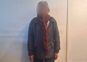 Frontera norte: extraditaron a mujer de nacionalidad boliviana acusada de estafas
