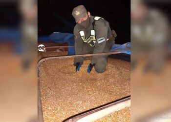 Tartagal: imputan a seis camioneros y a un agricultor por contrabando de 198 toneladas de granos