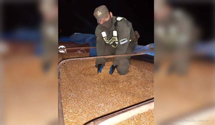 Tartagal: imputan a seis camioneros y a un agricultor por contrabando de 198 toneladas de granos