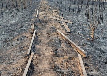 Coronel Cornejo: imputación y prisión preventiva para un camionero por robo de rieles