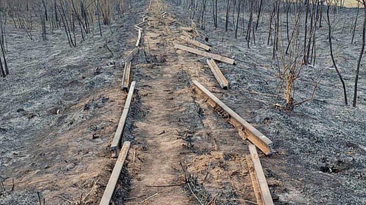 Coronel Cornejo: imputación y prisión preventiva para un camionero por robo de rieles