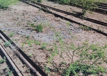 Ferrocarril Belgrano Cargas: amplían la acusación penal contra Atta Gerala por el robo de rieles