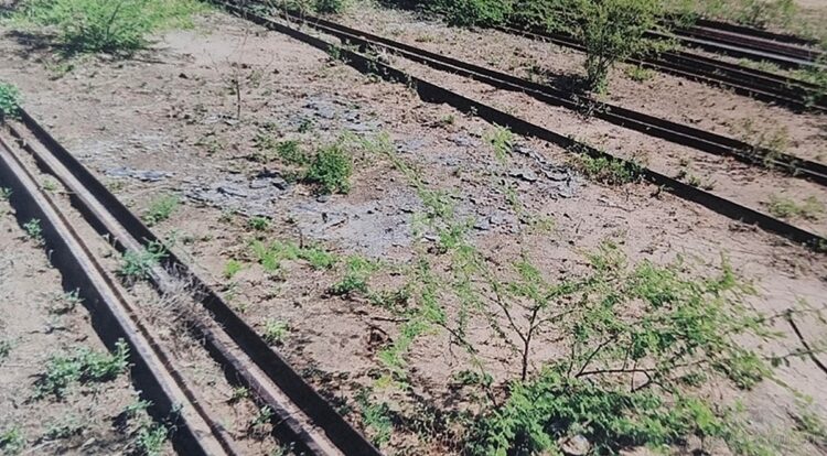 Ferrocarril Belgrano Cargas: amplían la acusación penal contra Atta Gerala por el robo de rieles