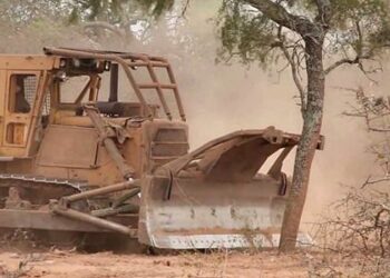 Desmontes ilegales en Tartagal: el Ministerio Público Fiscal ratifica compromiso con recomposición del daño ambiental