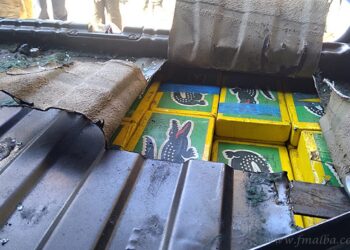 Salta: confirman la prisión preventiva de tres personas por el transporte e intento de robo de 66 kilos de cocaína