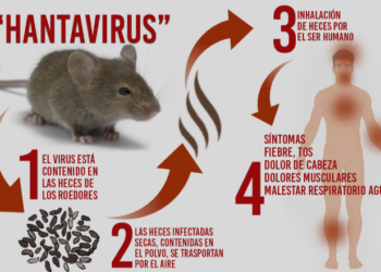Hantavirus: se confirmó el fallecimiento de una persona en Tartagal