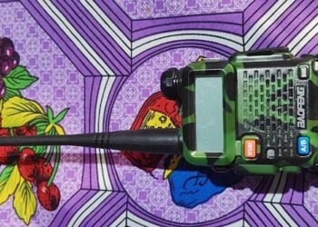 Embarcación: Imputado por un segundo hecho delictivo cometido con inhibidor de alarma