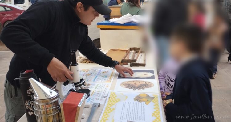 Agencia INTA Tartagal: “No hubo despidos pero sí convocatoria para retiro voluntario”