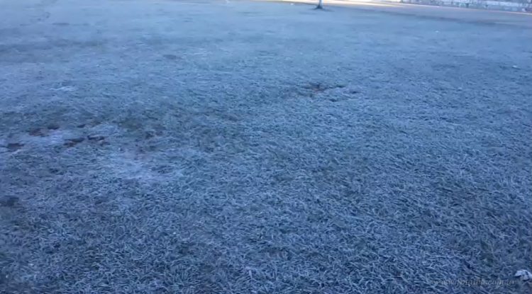 Mañana con heladas en Tartagal