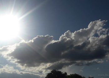 Región: Julio inicia con semana cálida