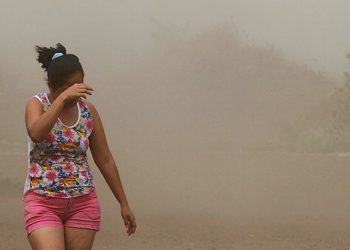 Región: el Servicio Meteorológico emite alerta amarilla por vientos intensos