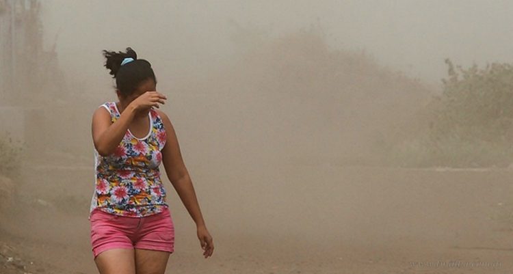 Región: el Servicio Meteorológico emite alerta amarilla por vientos intensos