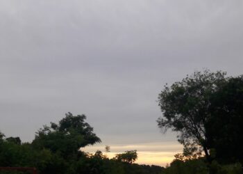 Región norte: llegada del frente frío y con probables heladas para el fin de semana