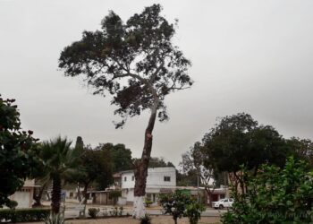 Vientos intensos provocaron cortes de energía en tres localidades