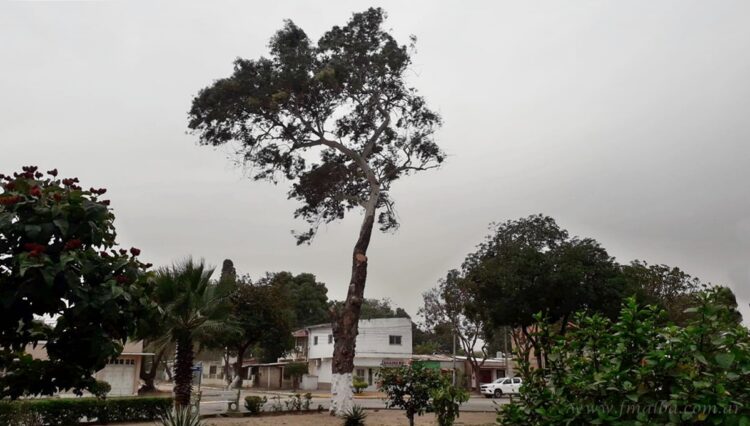 Vientos intensos provocaron cortes de energía en tres localidades