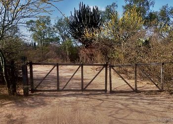 Conflicto Segovia-Macri: Juzgado Civil y Comercial 1 de Tartagal no ordenó ningún desalojo