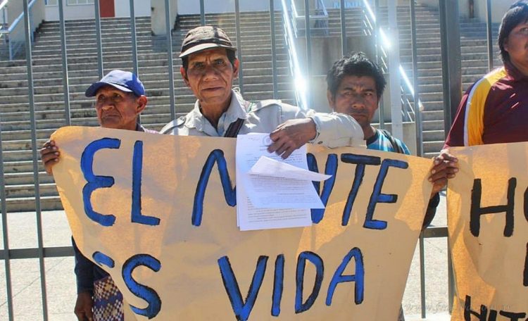 Tartagal: mediación en una causa promovida por la comunidad wichi “Territorios Indígenas”