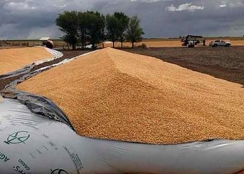 Tartagal: condenados por el robo de soja