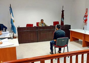 Tartagal: Delgado admitió su culpabilidad en femicidio