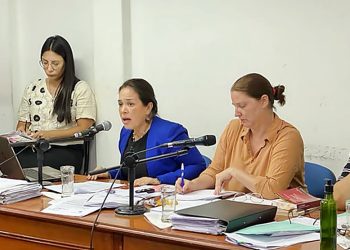 Caso Liliana Ledesma: se pidió prisión perpetua para los hermanos Castedo