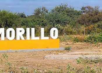 Morillo: detienen a un hombre relacionado a la distribución de material de ultraje infantil