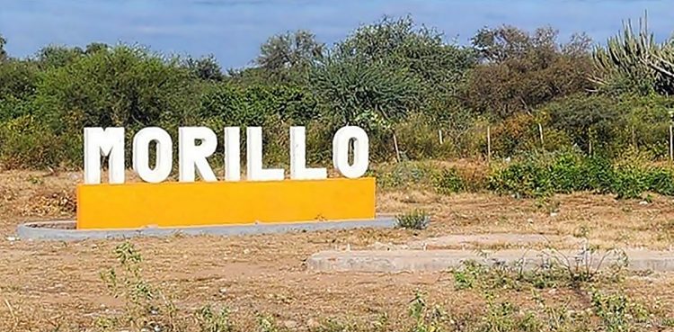 Morillo: detienen a un hombre relacionado a la distribución de material de ultraje infantil